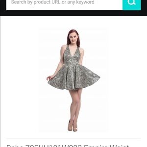 Bebe dress. With empire was, champagne and black